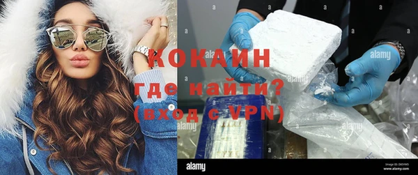гидра Алексин