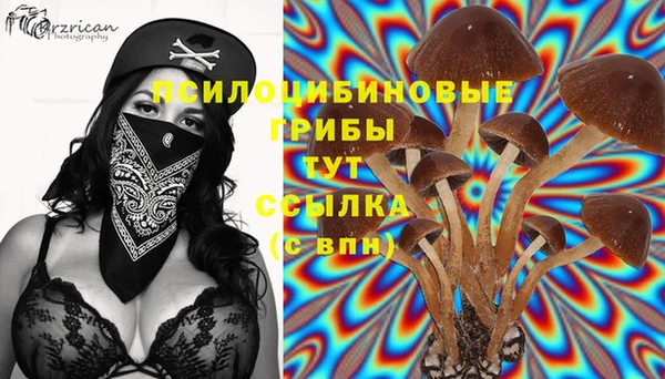 каннабис Алзамай